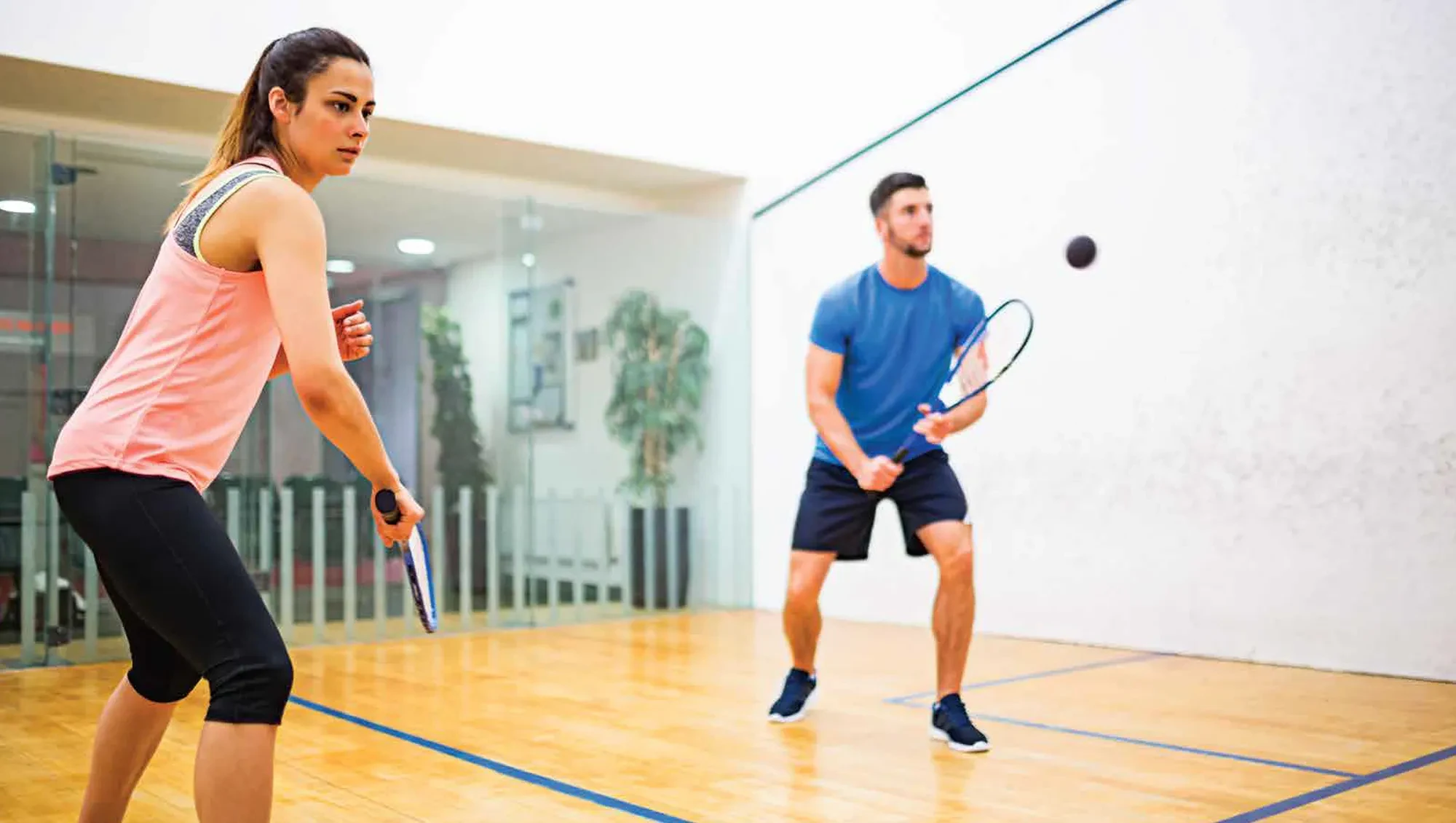 Badminton Court